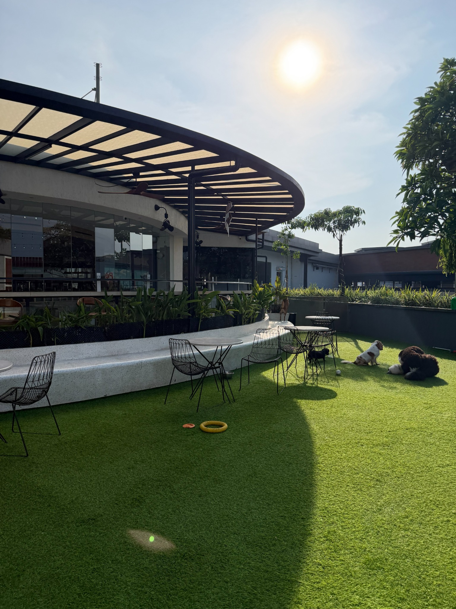 Relaxed outdoor lounge at Regent Park